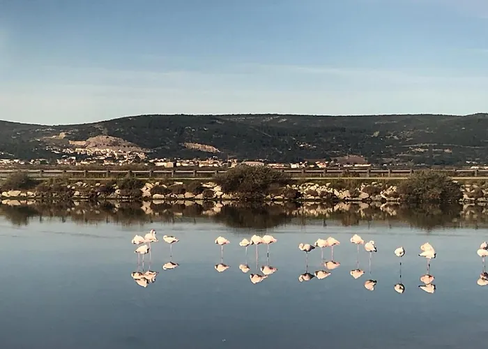 Flamants Roses 1 Pers 6